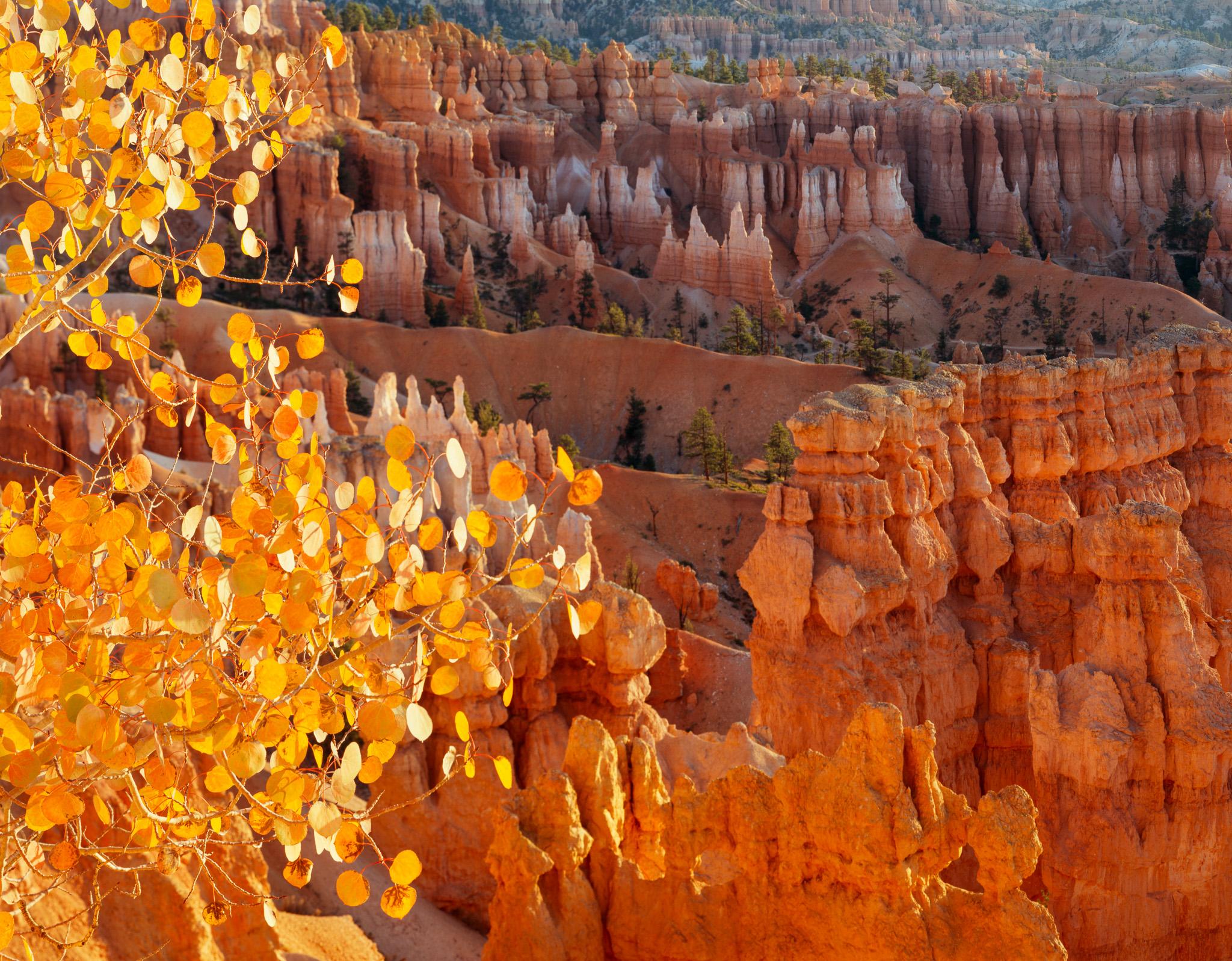 Utah National Parks Photography