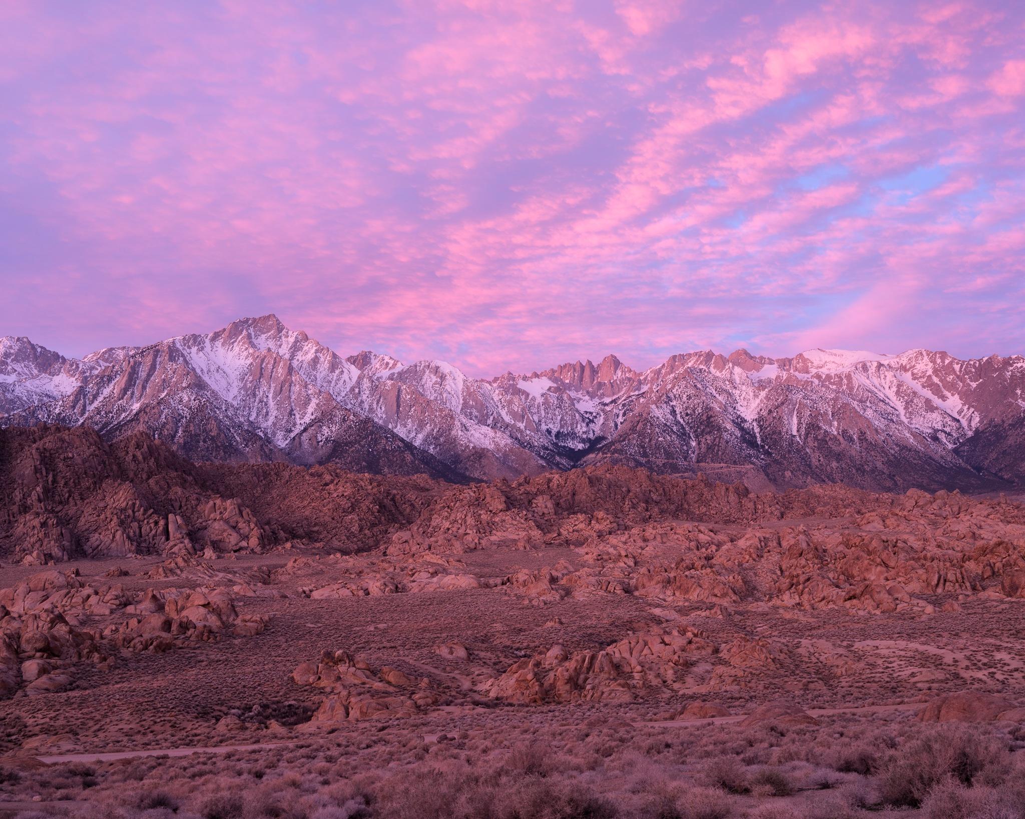 Pink and magenta clouds over the snow-capped Eastern Sierra at sunrise, California. Photograph by Marty Quinn