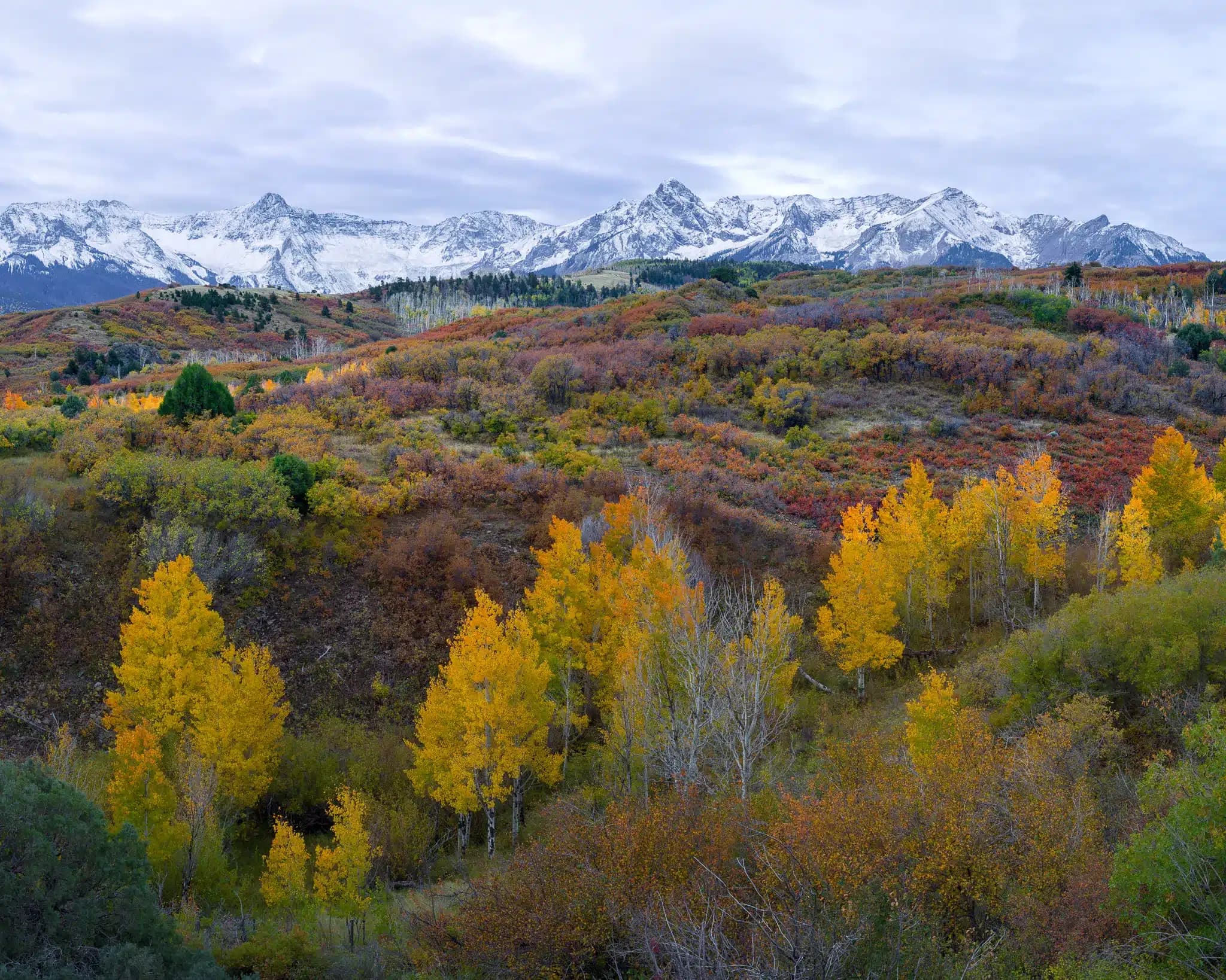 The Dallas Divide sits at 8,900 feet in the San Juan Mountains, with the Sneffels Range on the north horizon, Colorado. Photograph by Marty Quinn