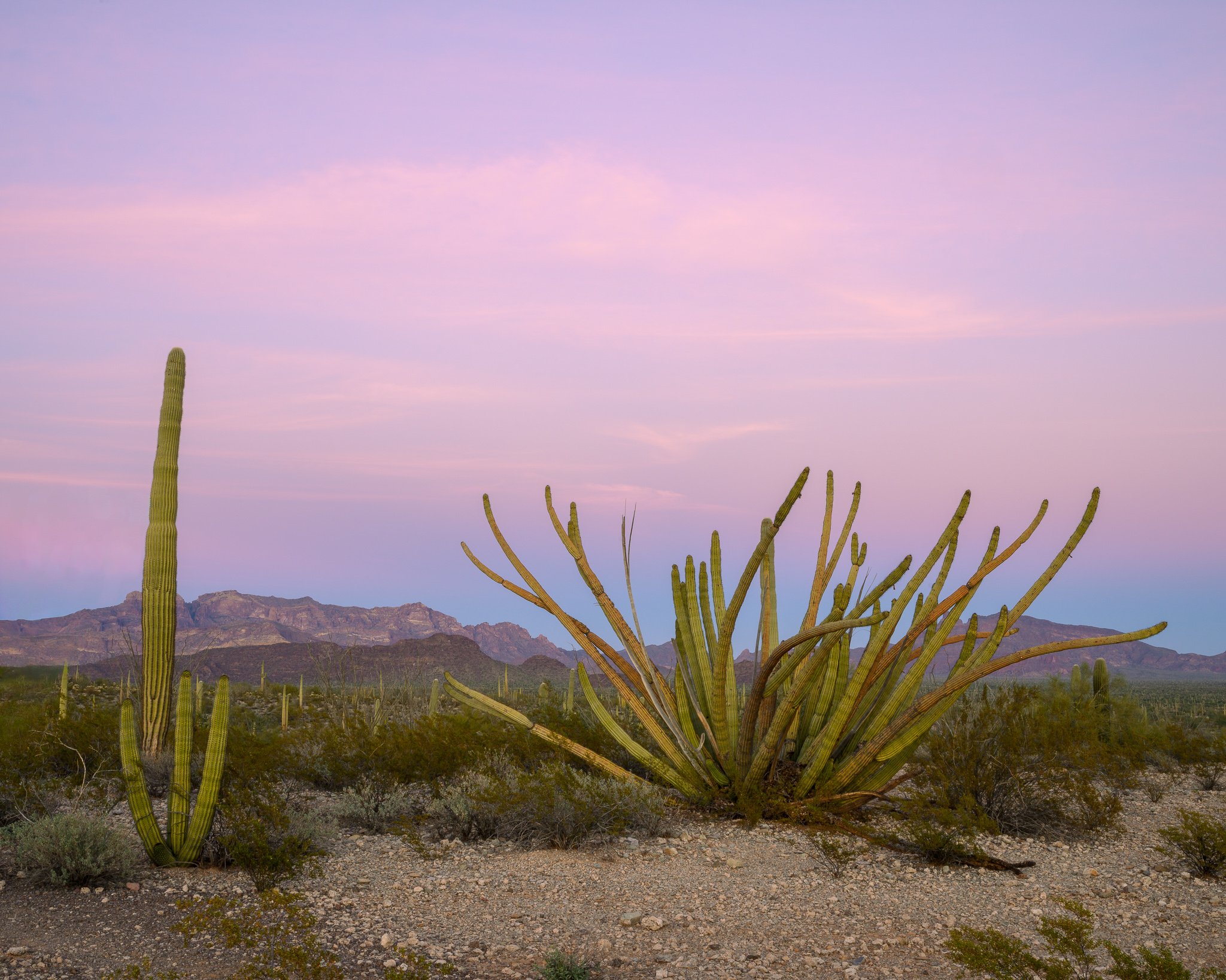 Fine art landscape photography print: Organ Pipe Sunset