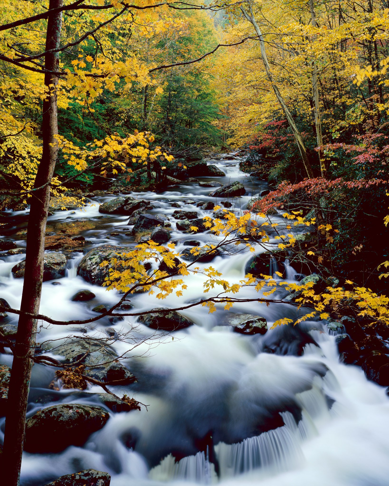 Fine art landscape photography print: Tremont Cascade