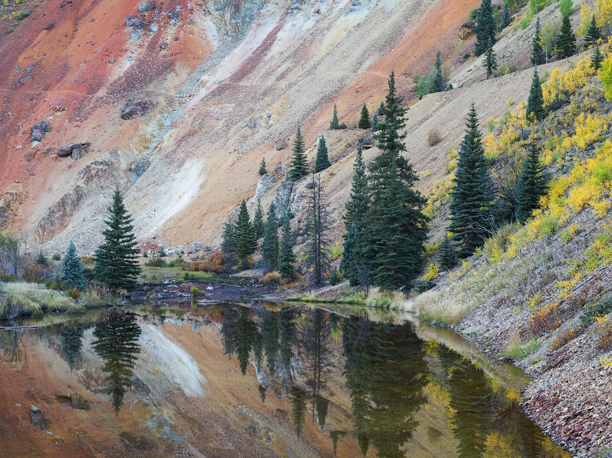 Fine art landscape photography print: Evergreen Reflections