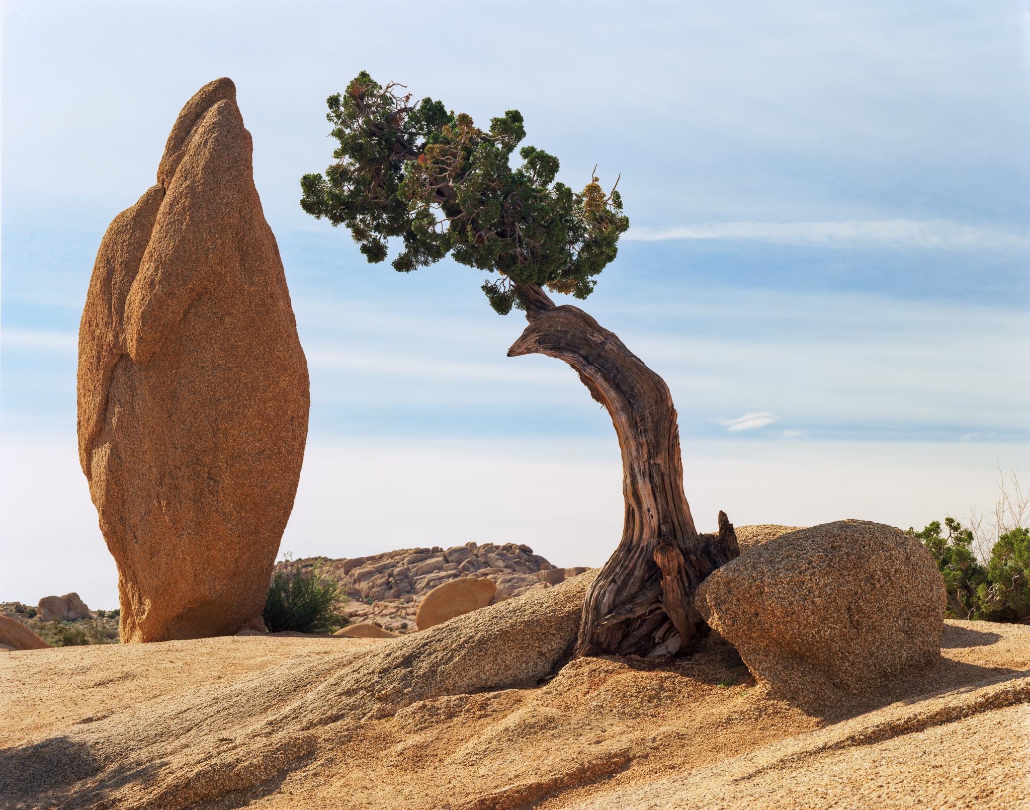 Fine art landscape photography print: Balance