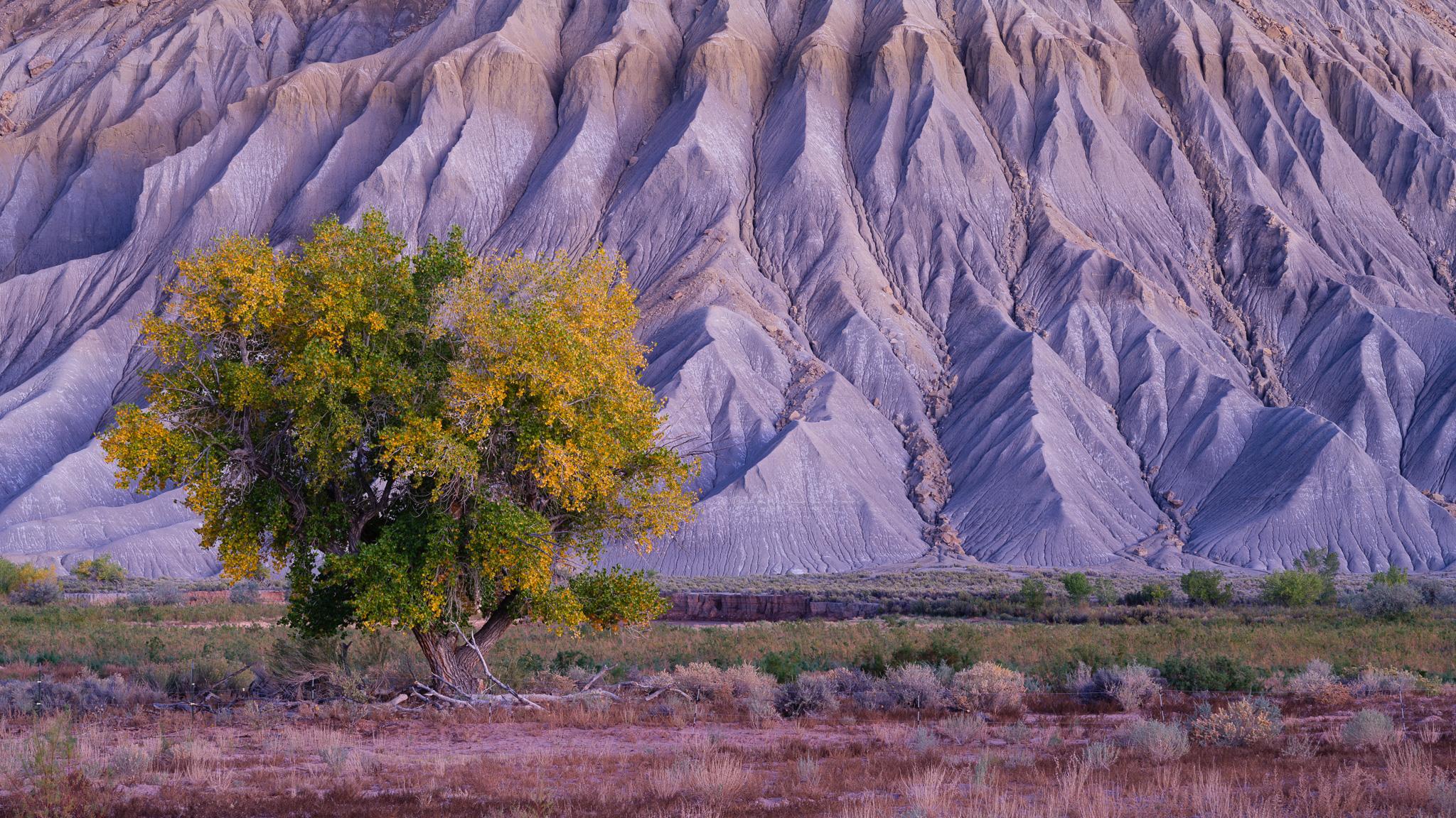 Fine art landscape photography print: Fall along Blue Mesa