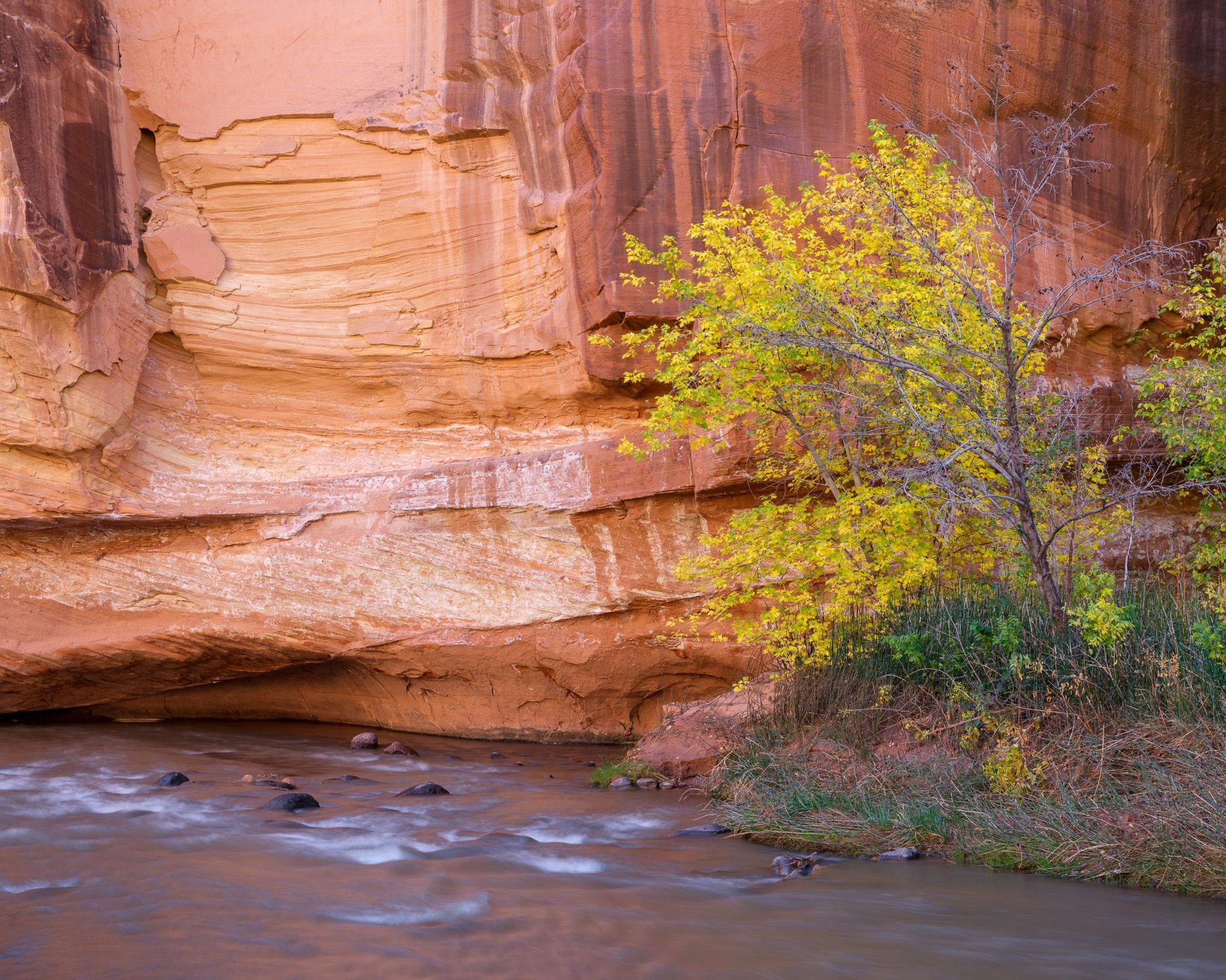 Fine art landscape photography print: Canyon's Gentle Glow