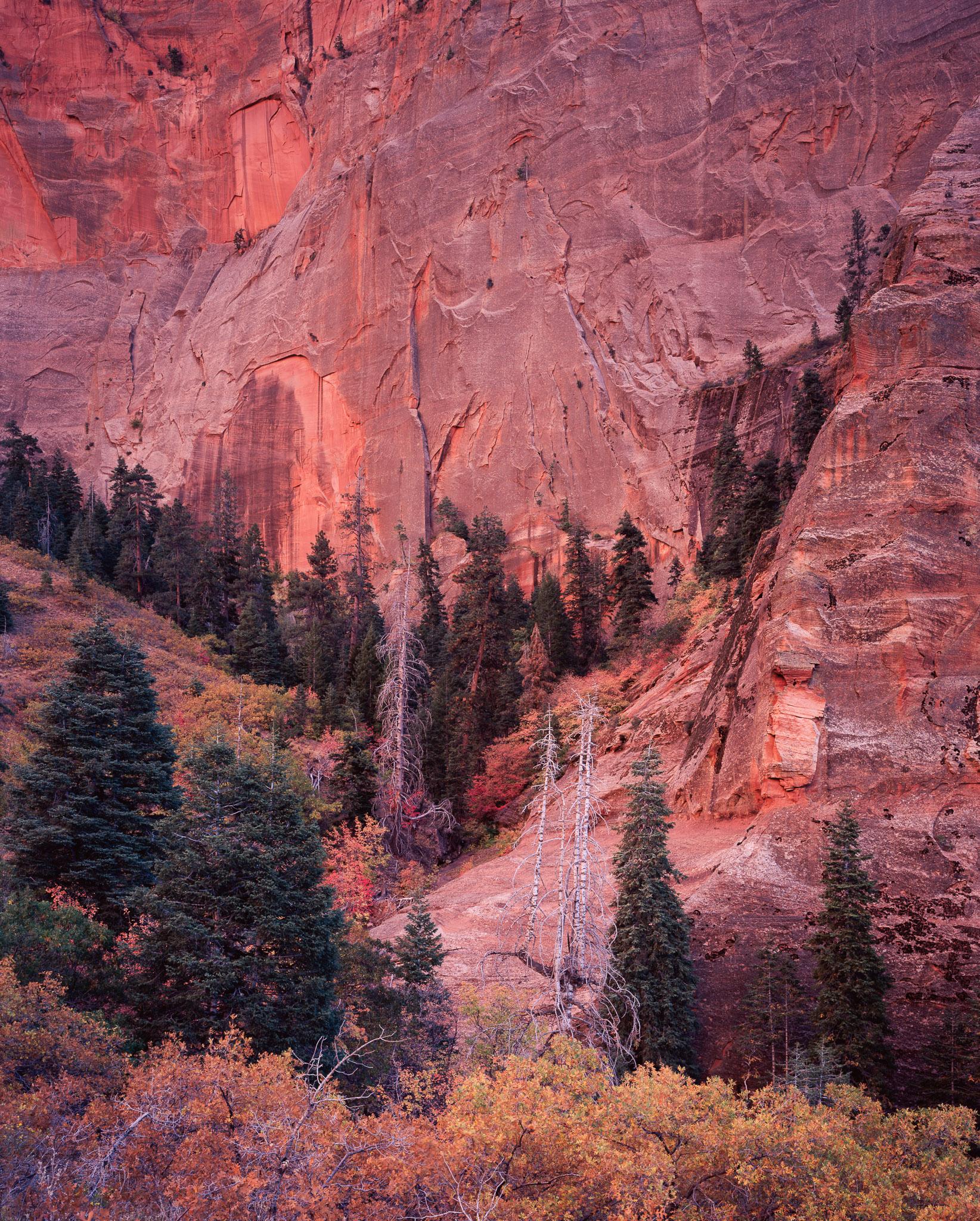 Fine art landscape photography print: Zion Canyon Glow
