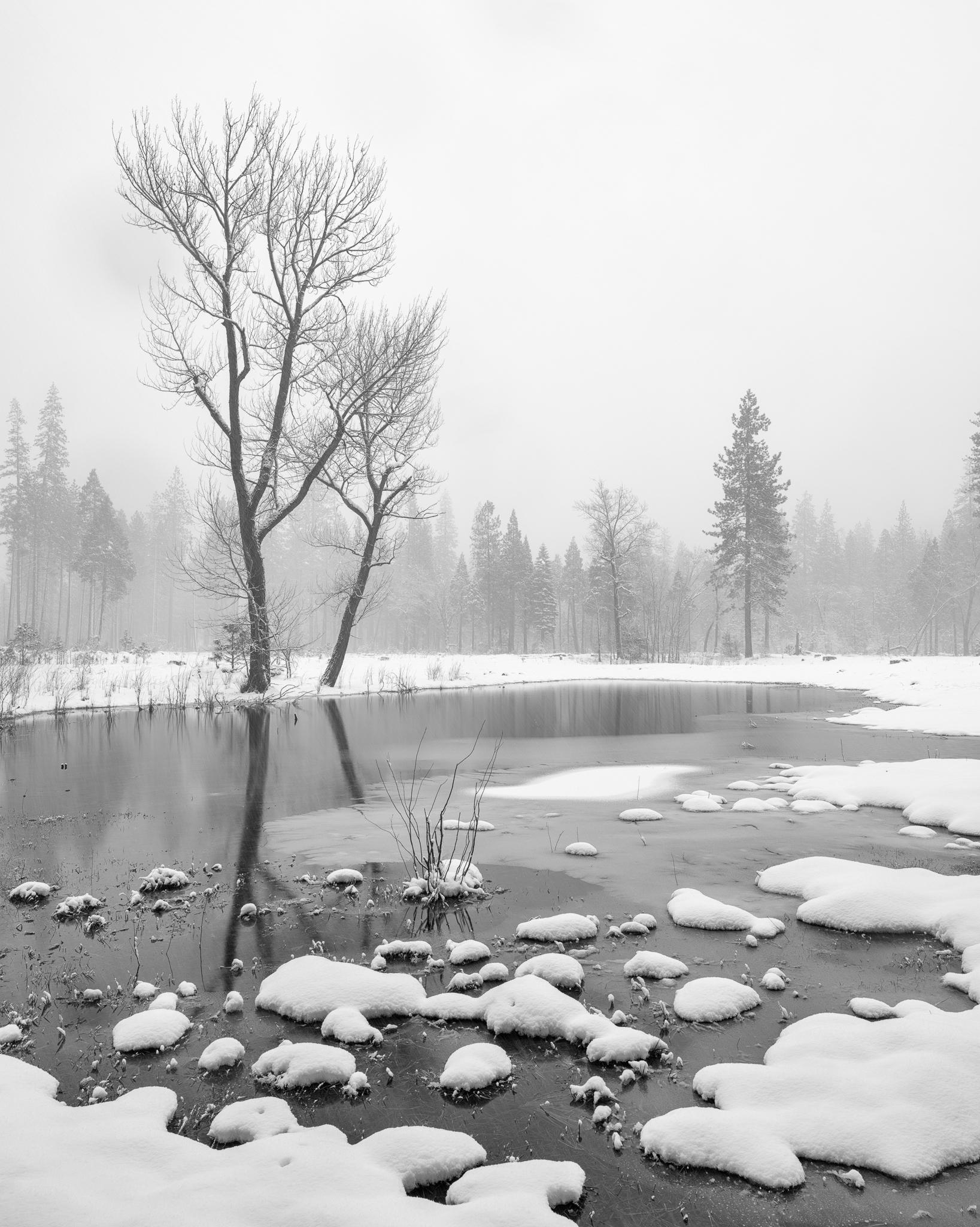 Fine art landscape photography print: Oak Reflections in Winter