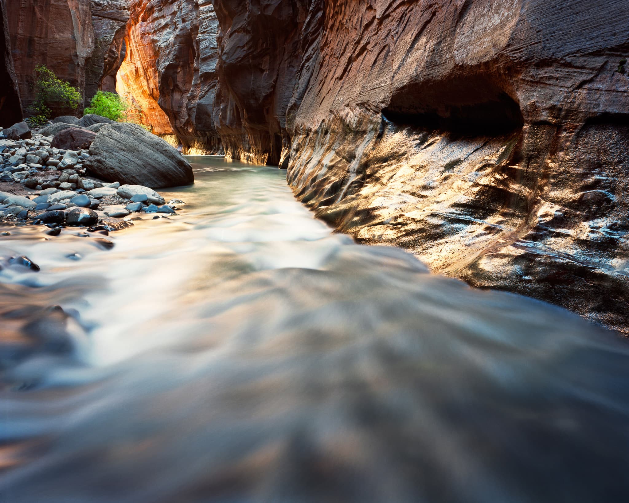 The Virgin River Narrows in Zion National Park — reflected canyon light glows from the passage ahead while the foreground walls hold in shadow, Utah. Photograph by Marty Quinn